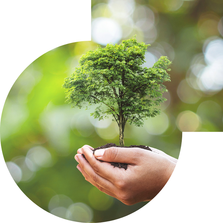 关怀人类、文化、环境与社会